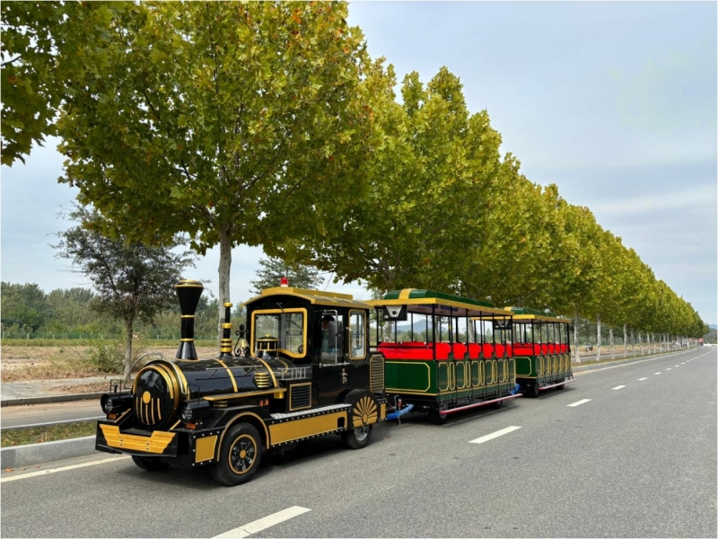 42座無軌小火車（定制黑綠拼色）